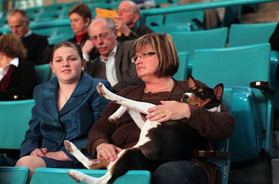 Backstage At The 135th Annual Westminster Dog Show Seen On www.coolpicturegallery.us