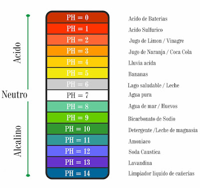 http://www.bionova.org.es/animbio/anim/acibas.swf