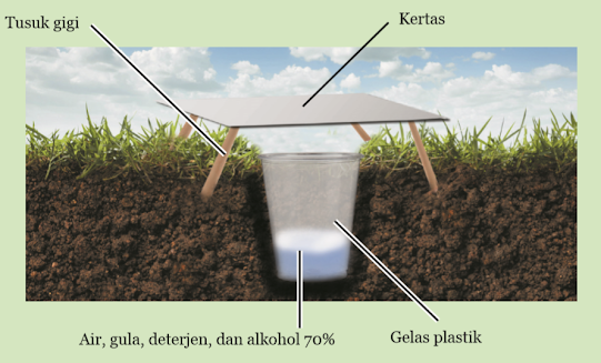 Gambar Posisi Gelas dalam Tanah