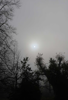 The sun just burning through the fog