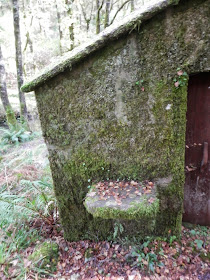 by E.V.Pita.... Spain, amazing rain forest in River Barragan (Pazos de Borben) / Por E.V.Pita.... Sorprendente bosque del río Barragan (Galicia, Pazos de Borbén y Fornelos de Montes) / A fraga do Barragán