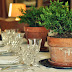 Experimenting with Boxwoods (and setting the Easter table)