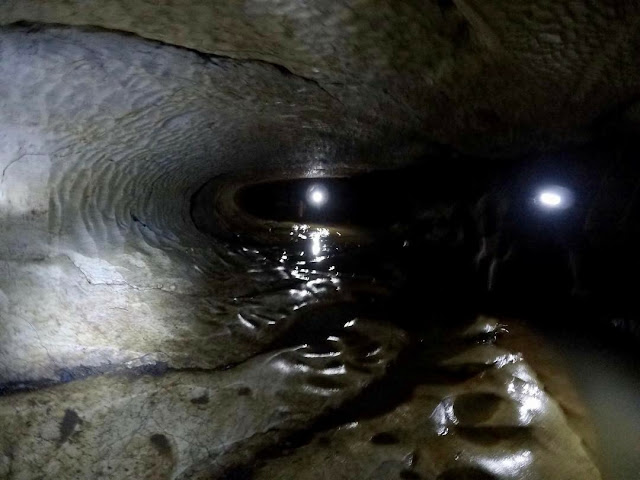 Waipu Caves