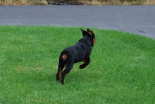 Flaps Up & Ready for Take Off