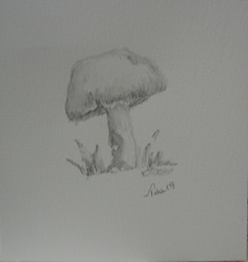 mushroom