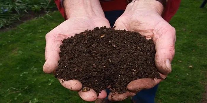 how to make compost at home step by step, how to make compost from kitchen waste, how to compost kitchen waste in apartments, how to make compost from kitchen waste at home, how to make liquid fertilizer from kitchen waste, compost from kitchen waste, how to compost at home,