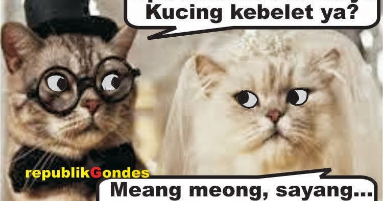 Plesetan Arti Bahasa Korea Lucu Kocak ~ Cerita Humor Lucu 