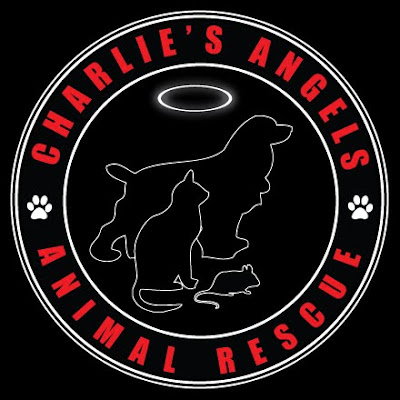 charlies angels logo. Charlie#39;s Angels Animal Rescue