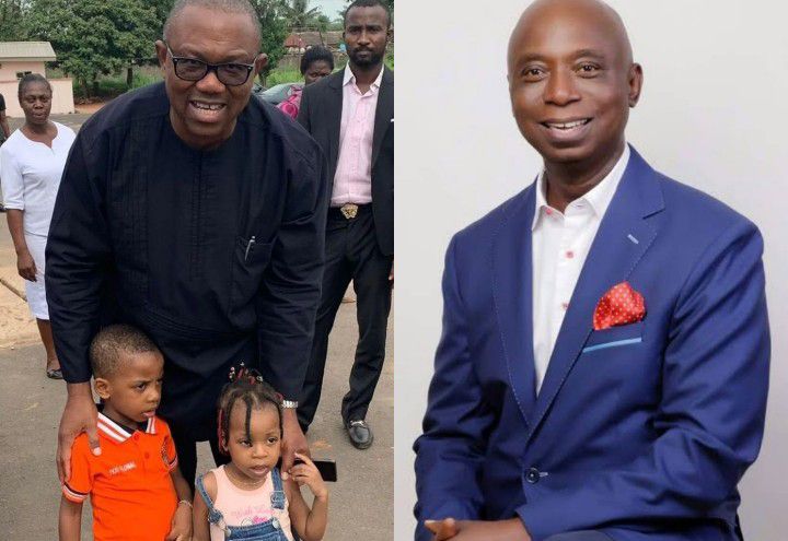 Peter Obi can't become president of Nigeria because he does not have the structure, Ned Nwoko says