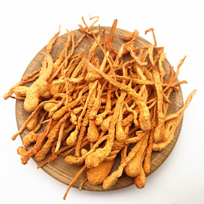 Cordyceps Mushroom Price In Nepal | Buy Mushrooms Online In Himalaya | Buy Cordyceps Mushroom Online