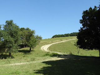 Felfelé a Gyertyánoshoz