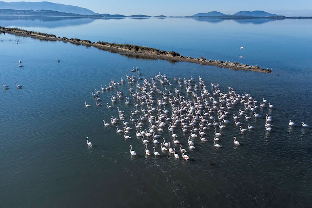 I fenicotteri volano nella laguna di Narta, a circa 150 chilometri a sud-ovest della capitale albanese Tirana. Un comitato ambientale del Consiglio d’Europa ha definito la laguna “un tempio della natura”.