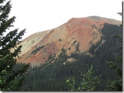 IMG_2607 IMG_2607