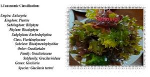 Morphological, phyto-physicochemical and nutritional characteristics of seaweeds in Cagayan