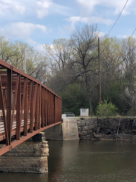 Can you see the Great Blue Heron perched on the bridge?