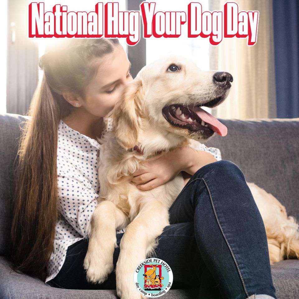 National Hug Your Dog Day Wishes Awesome Images, Pictures, Photos, Wallpapers