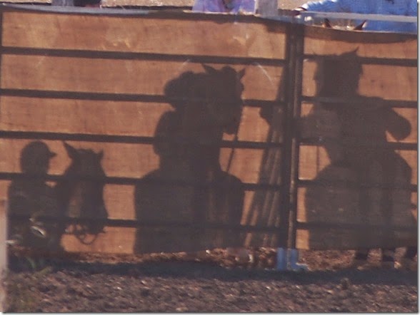 Shadow Drafting
