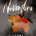 Uscita #narrativa: "Novembre" di Laura Vegliamore