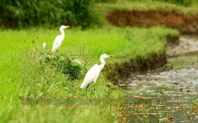 Images of TamilNadu.7