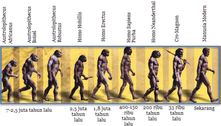 Mengenal Manusia  Purba 