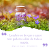 [QUOTE] Magia do Sangue - Nora Roberts