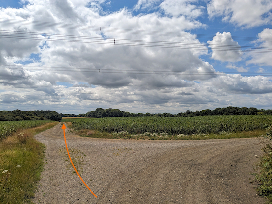 Ignore the track on the right and continue heading S on Lilley bridleway 9