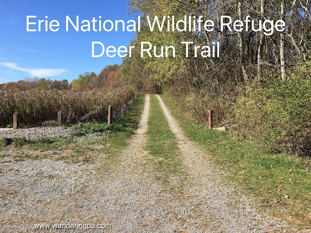 Deer Run Trail - Erie National Wildlife Refuge