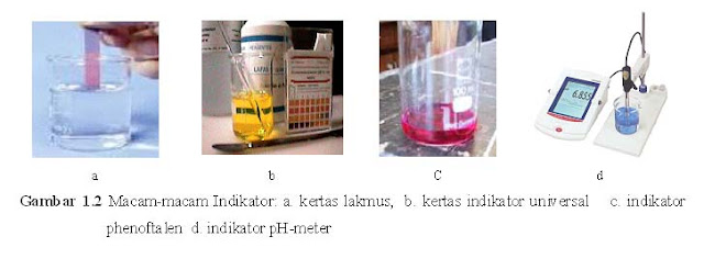 pH meter/pH digital