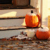 frost on the pumpkins...