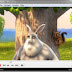 Download Media Player Classic Home Cinema 1.7.3.172 Download Free