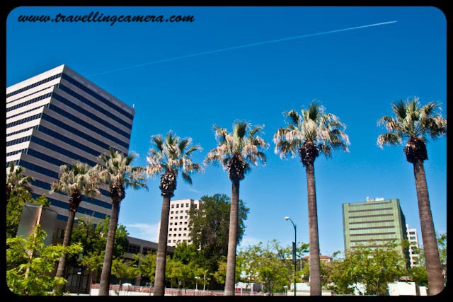 I was amazed by California's Urban Skylines. Buildings of all shapes and sizes dotted the horizon. Each Skyline was unique and colorful. Judge for yourself.Buildings visible from Hotel Hilton located in San Jose downtown.A jet line above the Palm trees. There were plenty of opportunities available for these kinds of shots. Again San Jose downtown.We were surrounded by the Glass Buildings everywhere. Everything looked Polished, though a tad bit unreal.A random shot in the streets of San Jose downtown. The wide variety of structures made even a vastly concrete architecture unique.The Boccardo gateway of the San Jose State University which boasts of a very culturally diverse student population.San Francisco Skyline at night from across the Golden Gate bridge. You can see a boat in the ocean on the right side.The Transamerica Pyramid is one of the most famous buildings of San Francisco.This is probably the most vibrant a skyline can get without getting cluttered. Look at the wide variety of colors, shapes and sizes against the back drop of the ocean. Also, San Francisco evidently houses a large portion of the population of California. At places, houses were so close that they resembled the densely populated areas of Delhi.California,  San Jose, San Francisco,  San Jose State University, urban, skylines