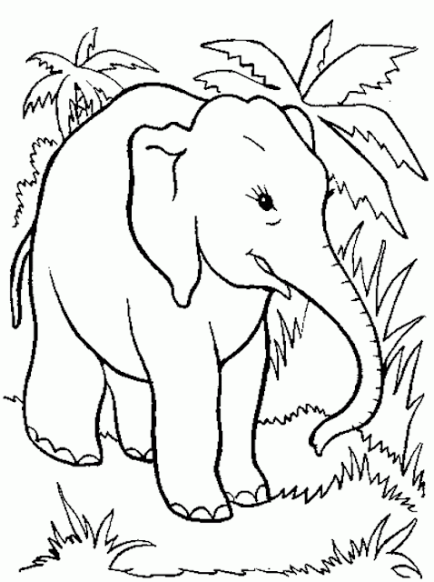 elephant coloring pictures