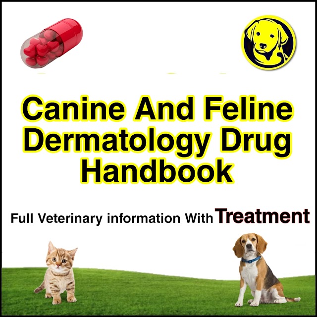 Free Download Canine And Feline Dermatology Drug Handbook Full Pdf