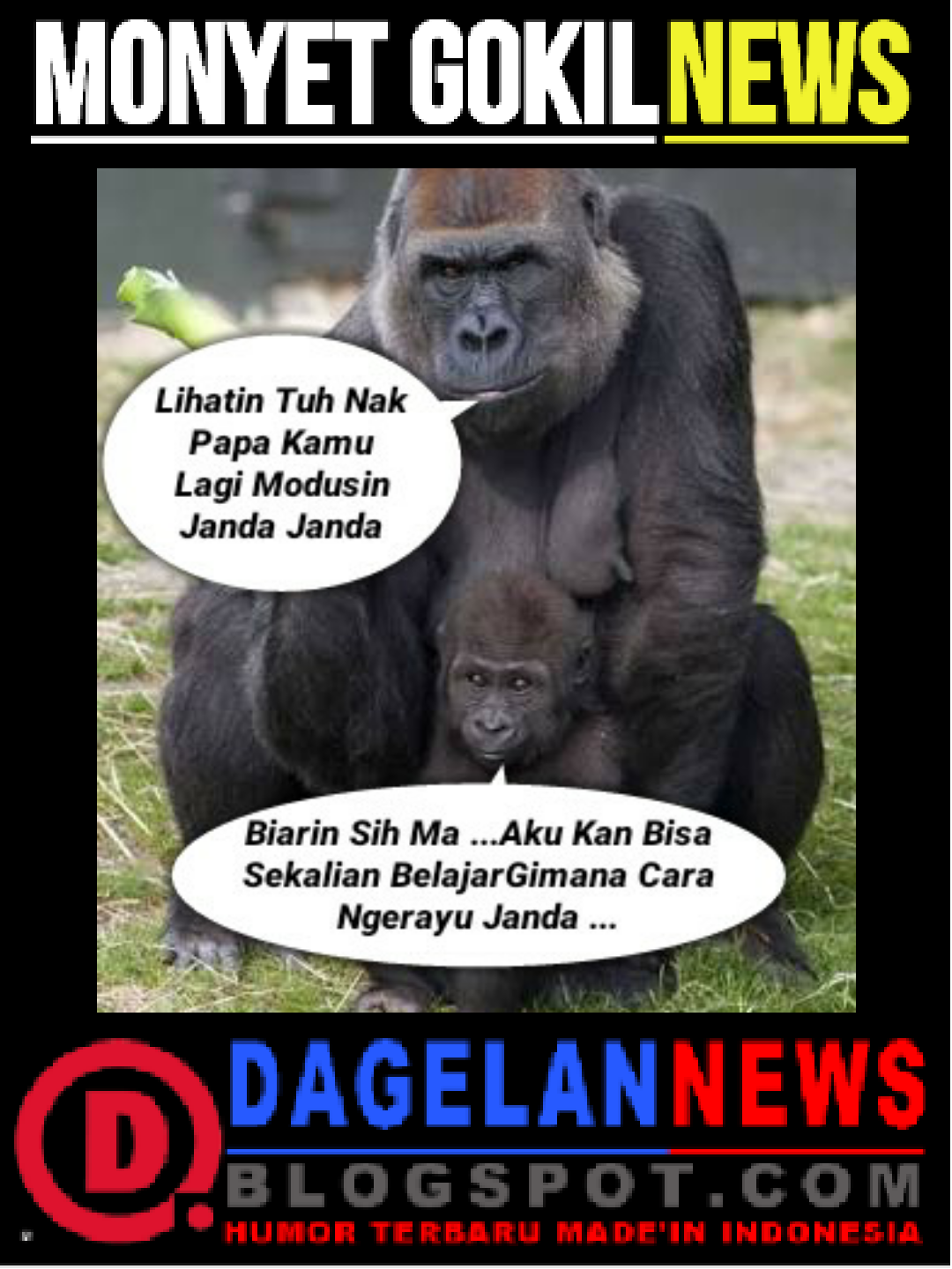 GAMBAR LUCU MONYET CURHAT DAGELAN NEWS