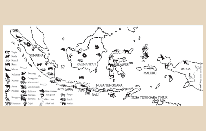  Gambar  Pembagian Jenis Flora Berdasarkan Geologi Gambar  