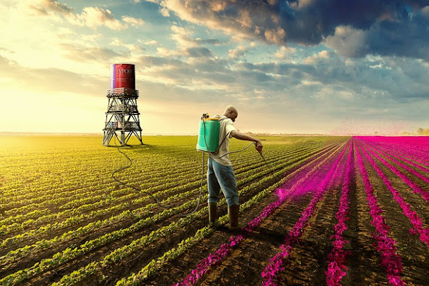 Agricultor aplicando agroquímicos en su campo.