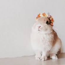 Foto saya