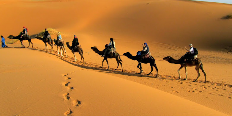 Desert City Tour - Desert City of Rajasthan 2020 - Tour Jodhpur