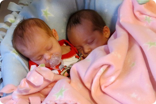 Twins asleep in the swing