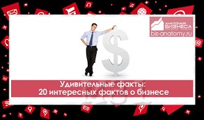 интересные факты