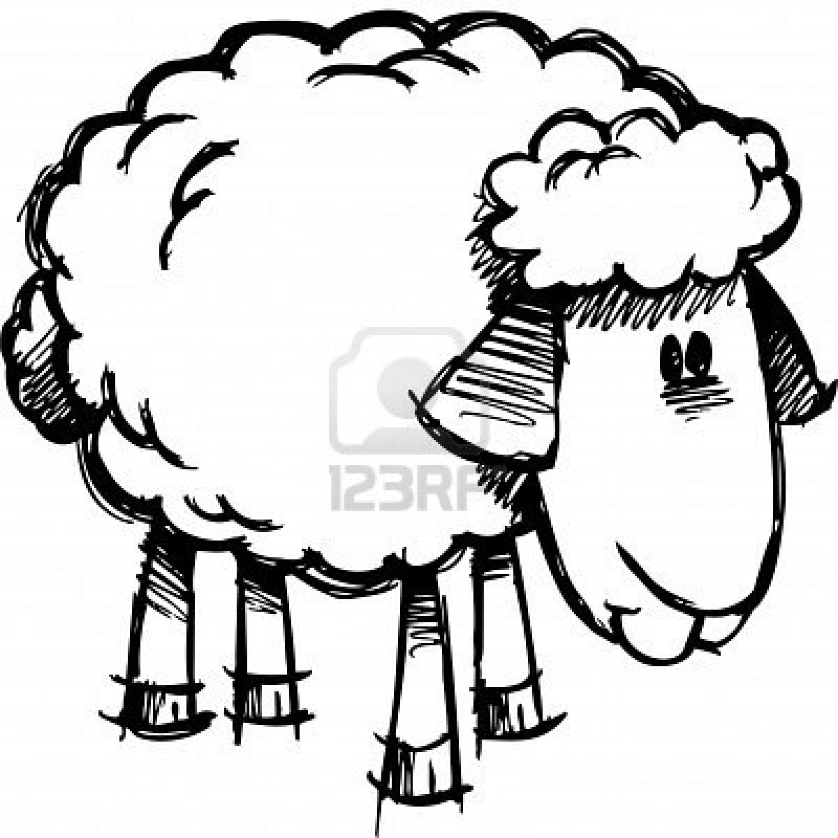 Desde mi rincón de religión: Colorear ovejas