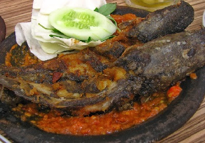  Sudah barang tentu bunda menggetahui ikan yang satu ini Aneka Resep Olahan Ikan Lele Dan Cara Membuatnya