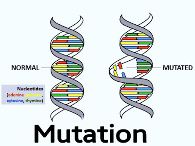 Mutation image