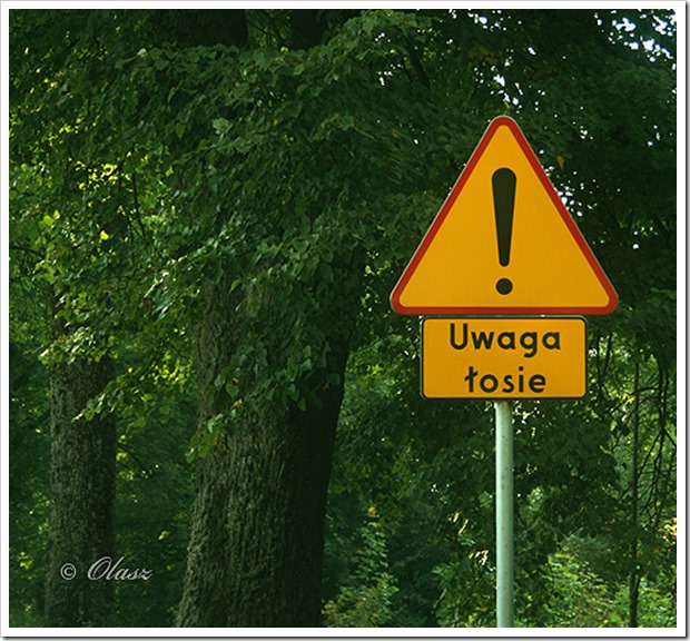 Przy Dużym Stole: Mazury
