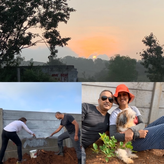 nerolac, asian paints, lemon tree, shistzu 