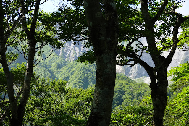 鳥取県西伯郡大山町大山　だいせんホワイトリゾート国際エリアの尾根道からの眺望