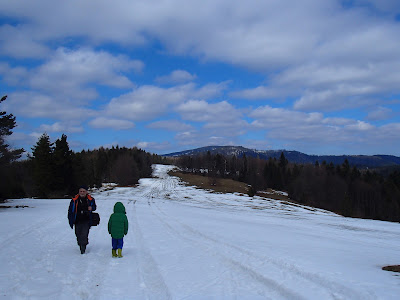 Rezerwat biała Woda, Szczawnica, ciekawe szlaki turystyczne w Szczawnicy, grzyby 2018, grzyby w marcu