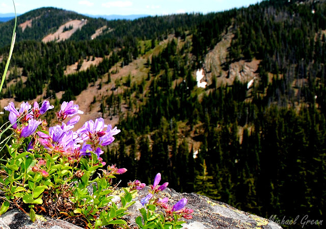 Idaho