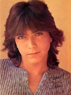 Celebrity Men's Hairstyles With Image David Cassidy Classic Hairstyle With Men's Shaggy Haircuts Picture 3