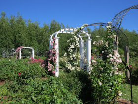 Stan Hywet Rose Garden